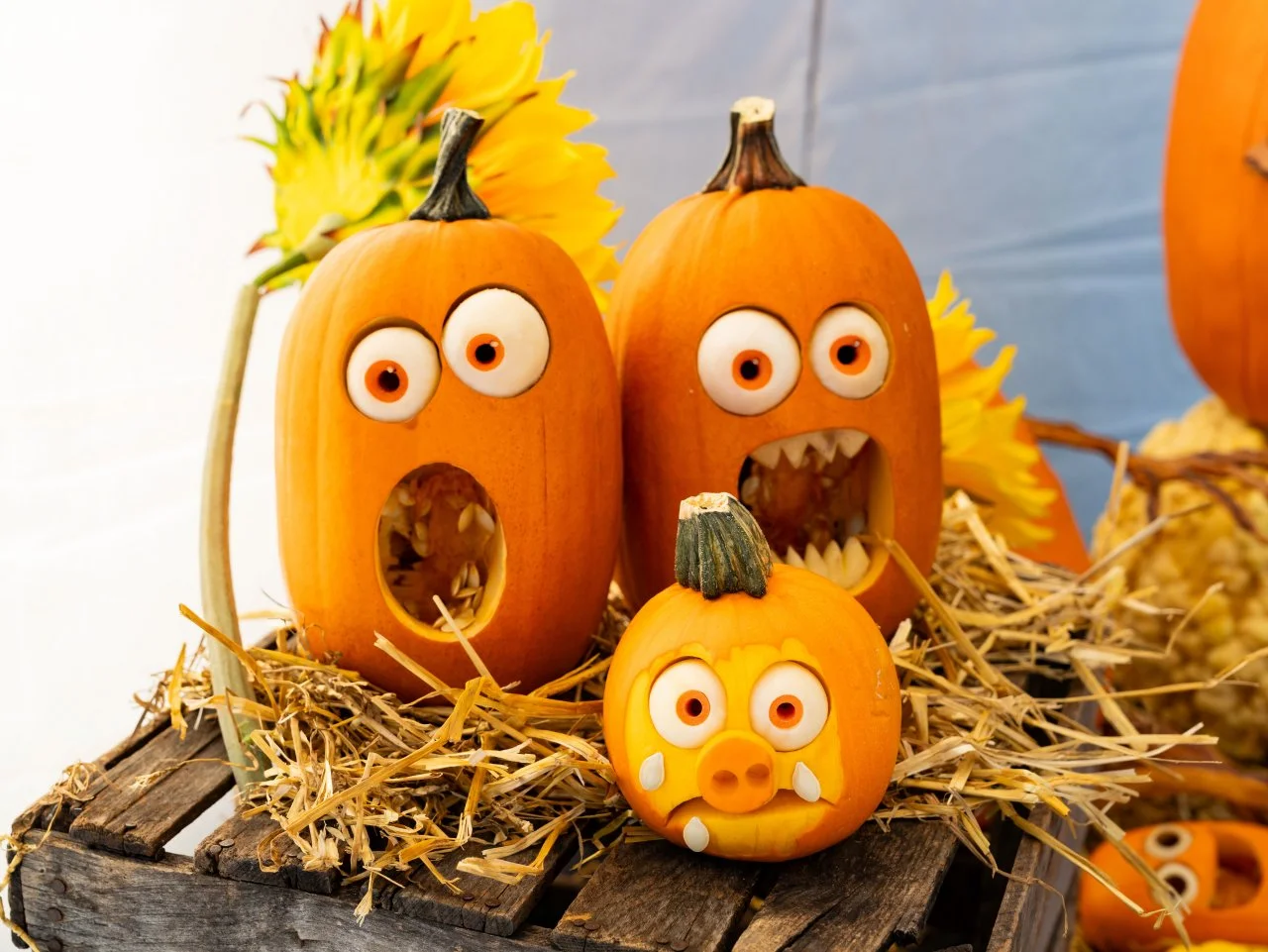 pumpkin-carving-tools-and-tips-best-way-to-carve-a-pumpkin-hgtv