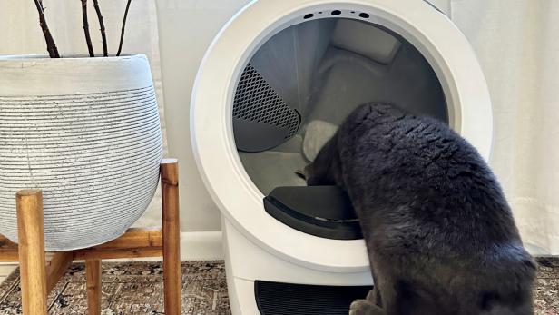I Finally Made the Switch to the Automated Litter-Robot 4, and I'll Never Go Back