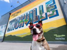 Greetings From Knoxville Mural with dog