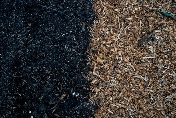 compost and wood chips for mulch