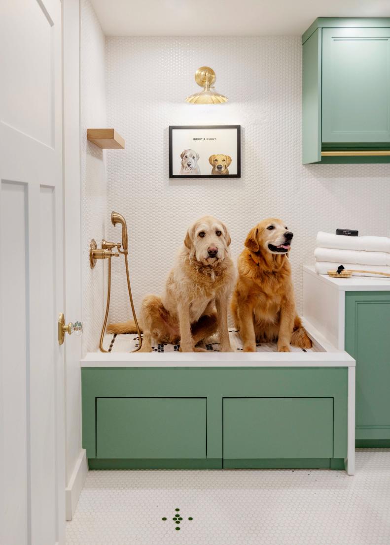 White Wash Room for Dogs With Light Green Cabinets