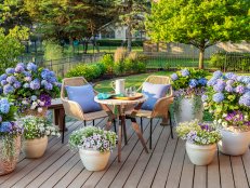 Deck With a Mix of Blue-Purple Flowers and Woven Wood Patio Furniture