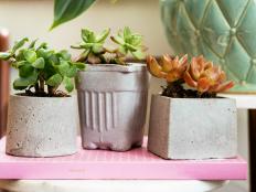 Learn to craft your own concrete planters with this tutorial from HGTV.