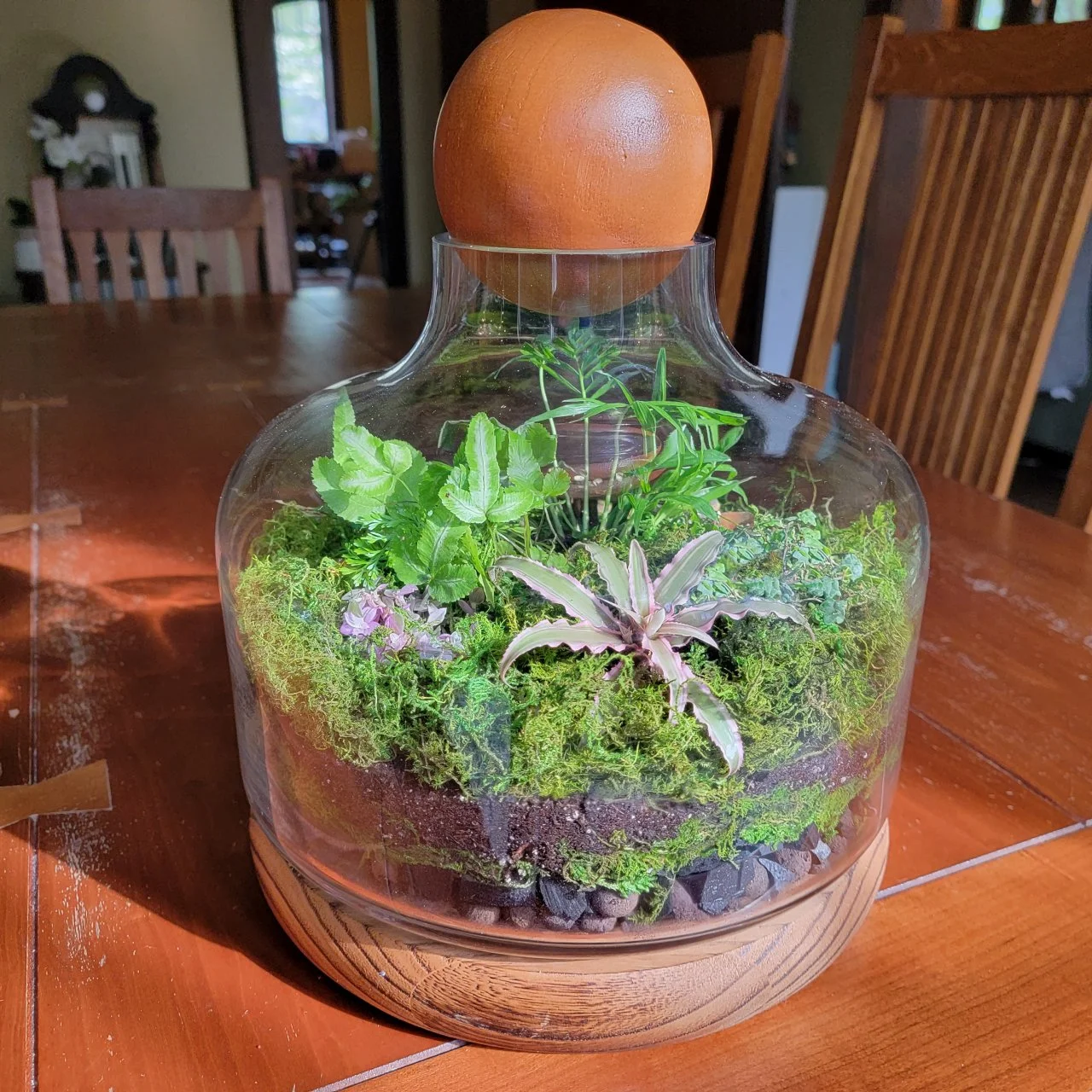 Easy Steps for Creating a Terrarium | HGTV