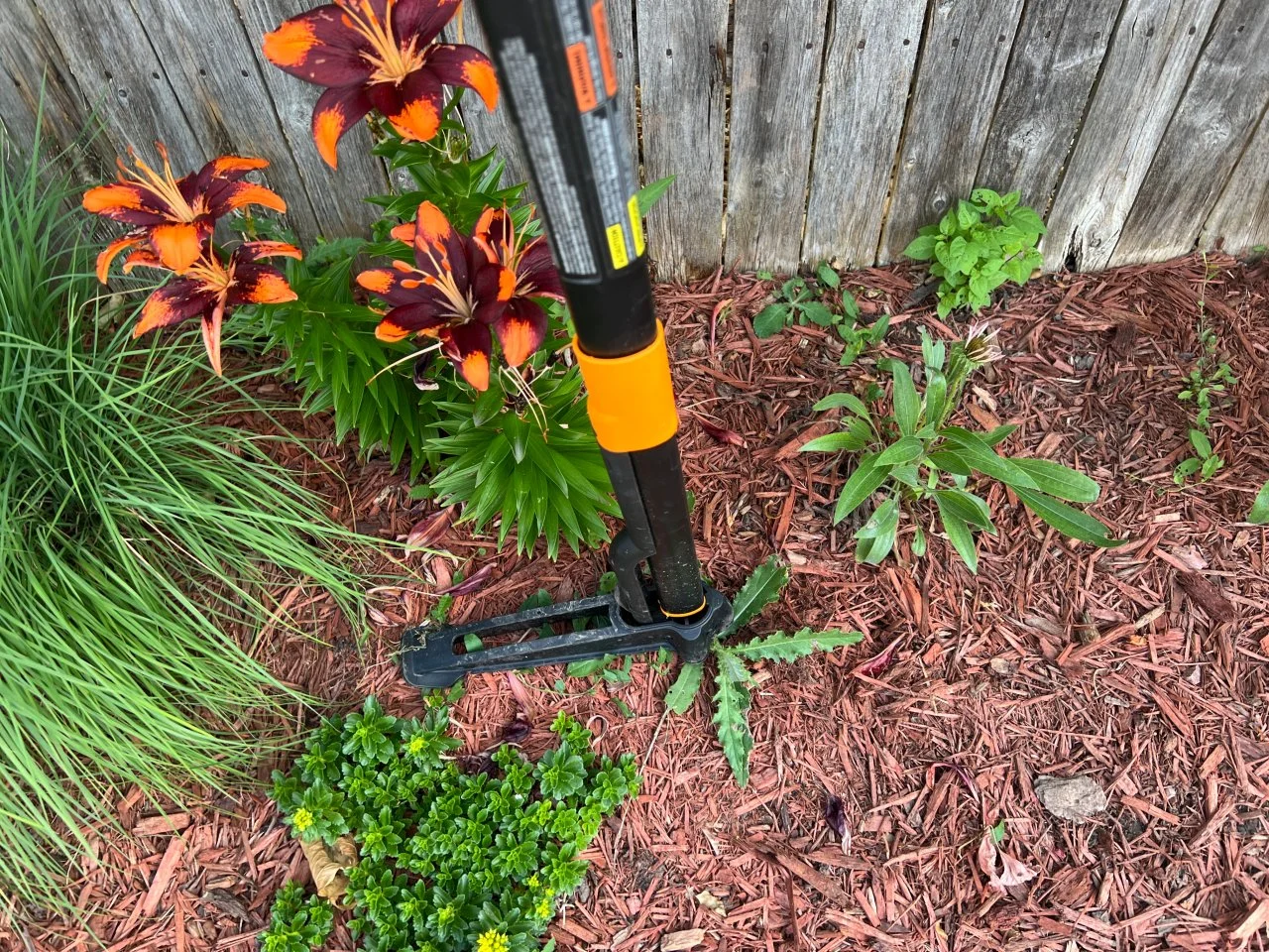 8 Best Weeding Tools 2025 Reviewed HGTV