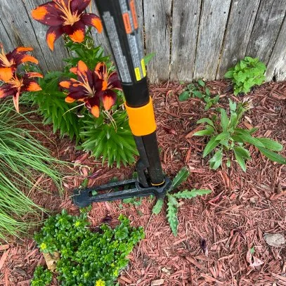 I've Tested Dozens of Weeding Tools — Here's Why the Fiskars Stand-Up Weed Puller Is the One I Keep Using
