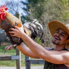 Brian Brigantti of Red Leaf Ranch Holds Olive, the Resident Rooster