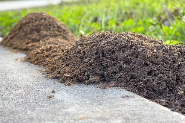 These mounds belong to the fire ants and are difficult to get rid of. The ants sting and hurt when they do.