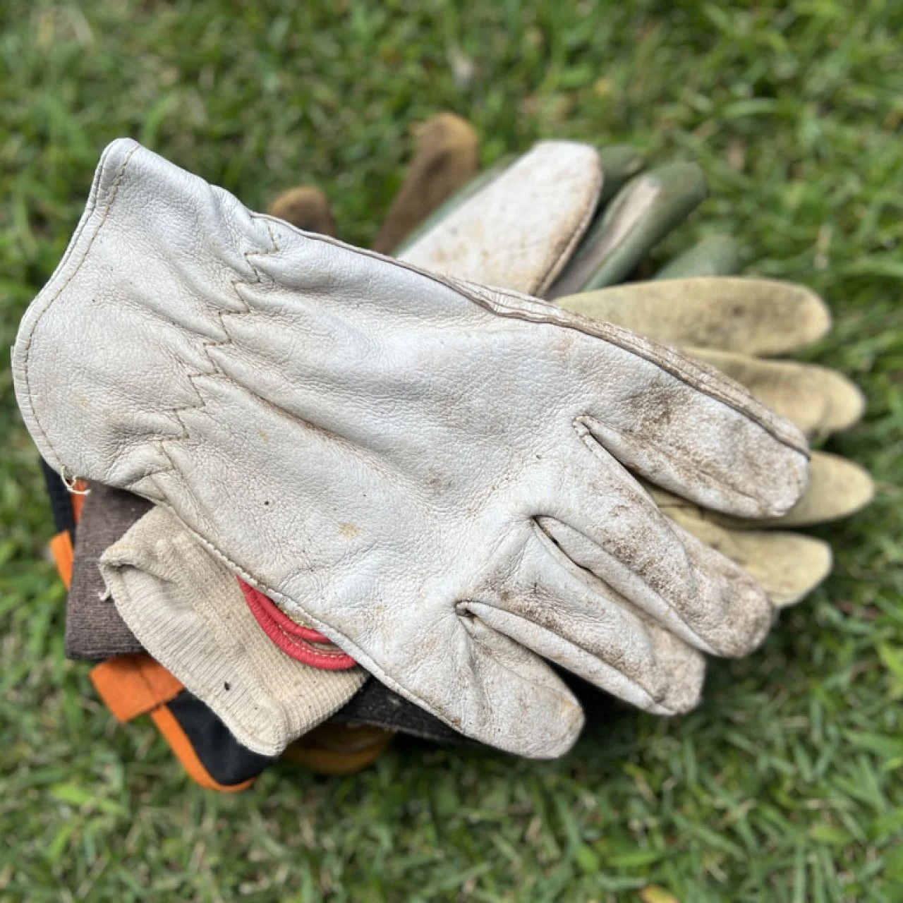 How to Properly Clean Wash Your Gardening Gloves HGTV