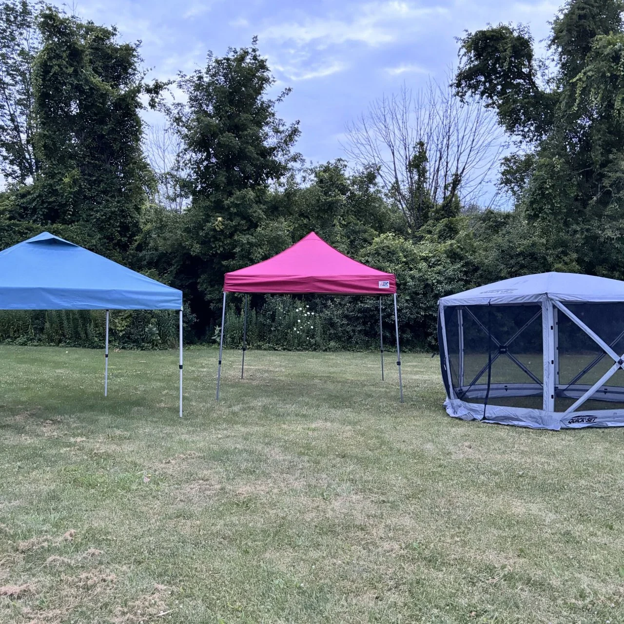 6 Best Pop Up Canopy Tents 2024 Reviewed HGTV