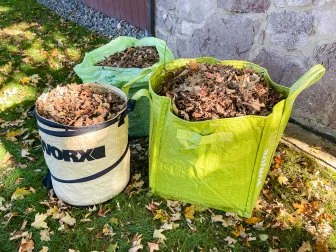 Three Leaf Bags Filled With Leaves on a Grassy Lawn