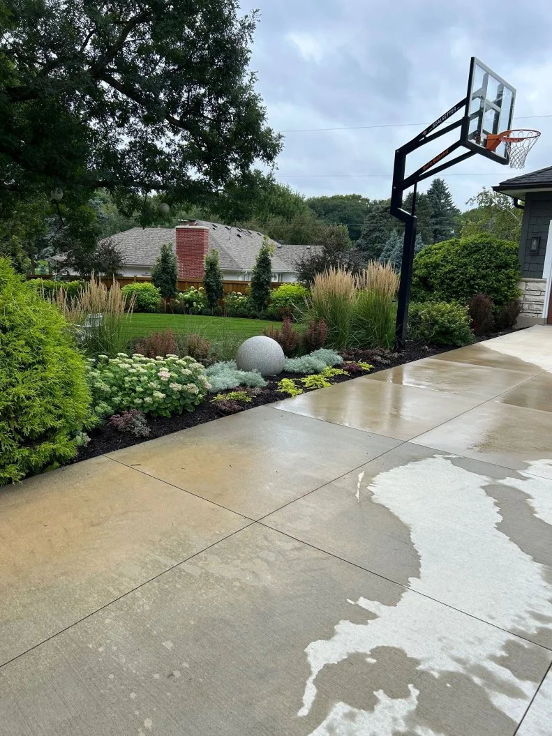 A concrete driveway with a basketball goal beside a border of dark mulch and plants