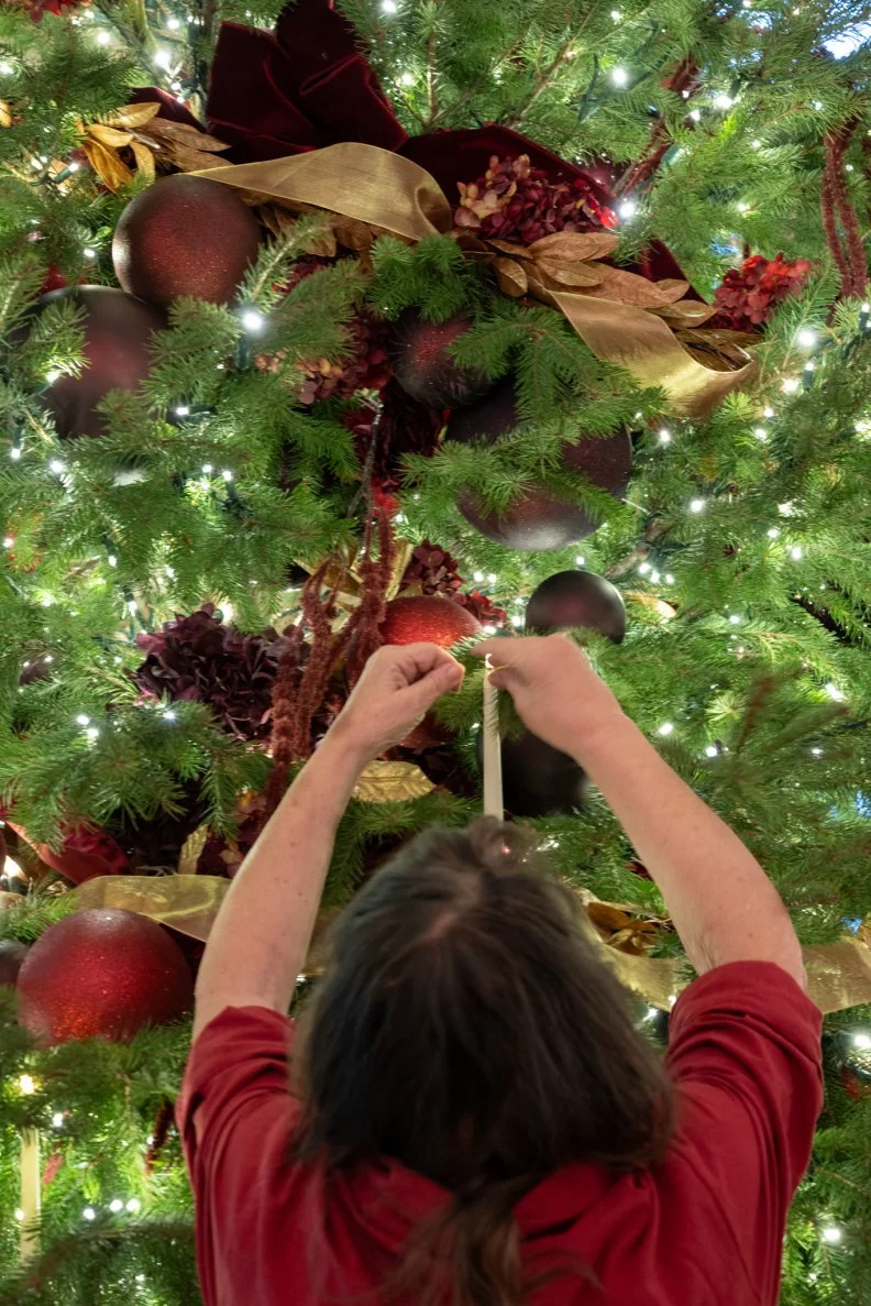 The 2025 White House Christmas decor features 25,000 feet of ribbon. Here one of the 145 volunteers tasked with decorating the People's House puts finishing touches on a Grand Foyer tree.