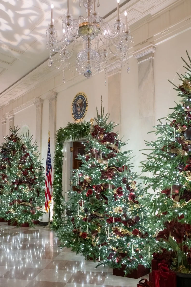 The White House Grand Foyer is aglow with a stunning chandelier, glassy polished floor and an artful light display on the room's ceiling. Fashion and costume designer Hervé Pierre helped execute this year's holiday display.