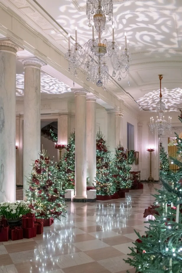 Analysis of Tour the 2025 White House Christmas Decor With HGTV | HGTV