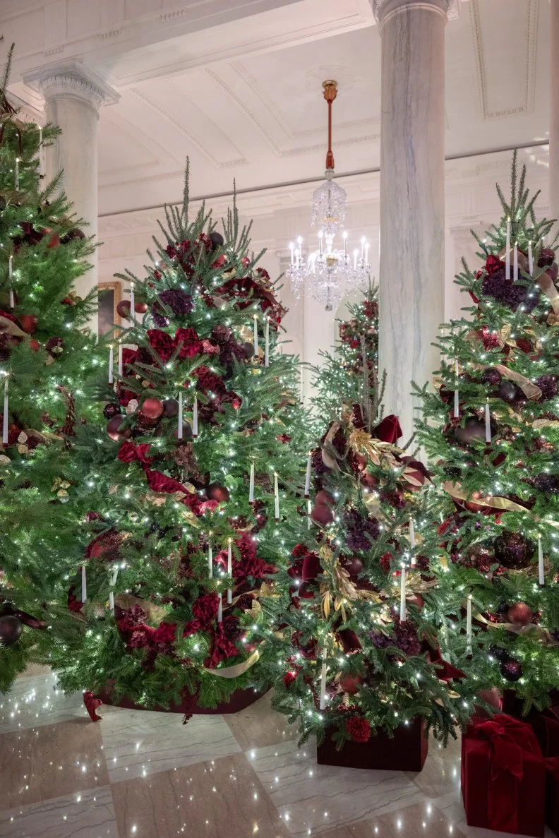Deep reds and gold ribbons and decorations deck the many Christmas trees in the White House's Grand Foyer. There are more than 50 Christmas trees featured in the 2025 White House decorating scheme.