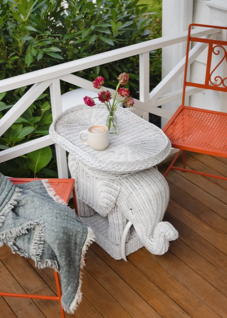 Chairs and Elephant Table