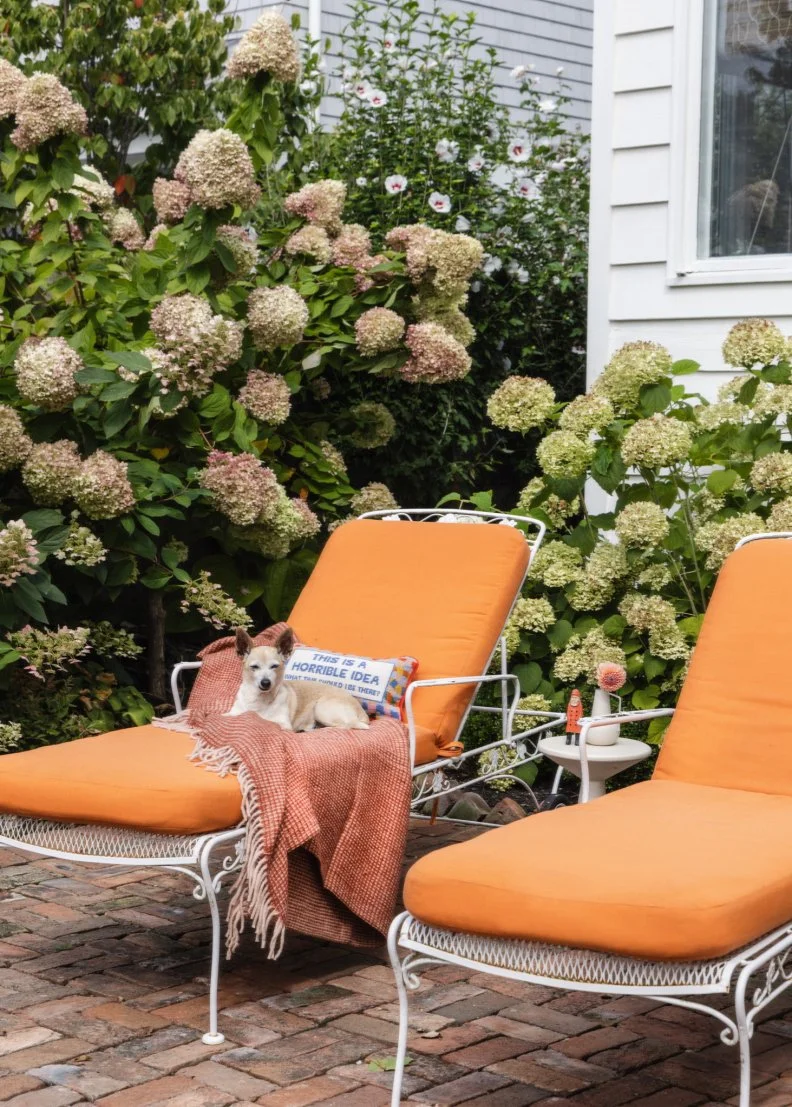 Two Orange Lounge Chairs