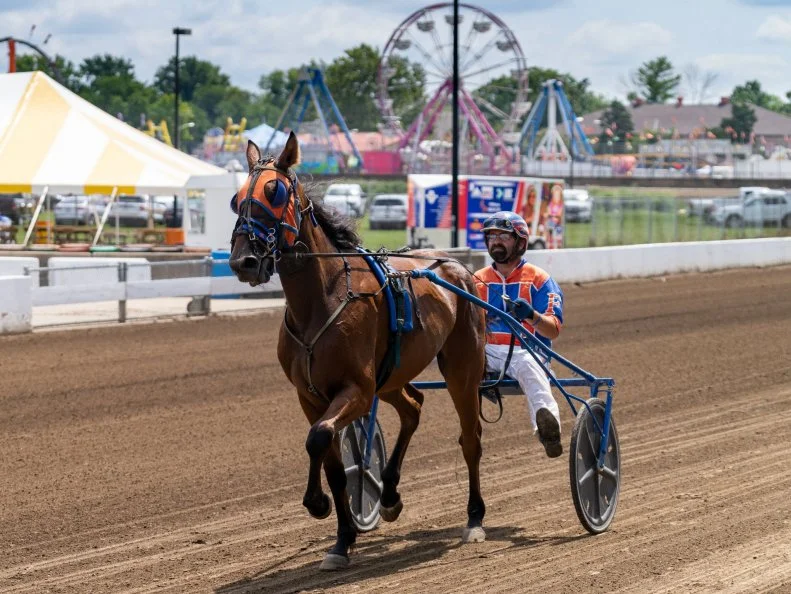 A man and horse in a harness race on state fairgrounds.