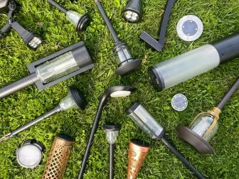 Several Solar Walkway Lights On the Grass
