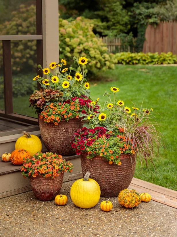Low-Cost Outdoor Plant Displays: Stunning Ideas on a Budget