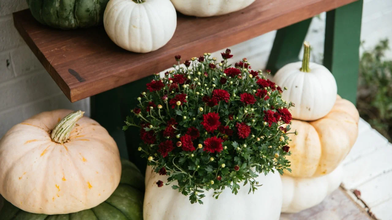 How To Use Pumpkins as Planters (And Make Them Last) | HGTV