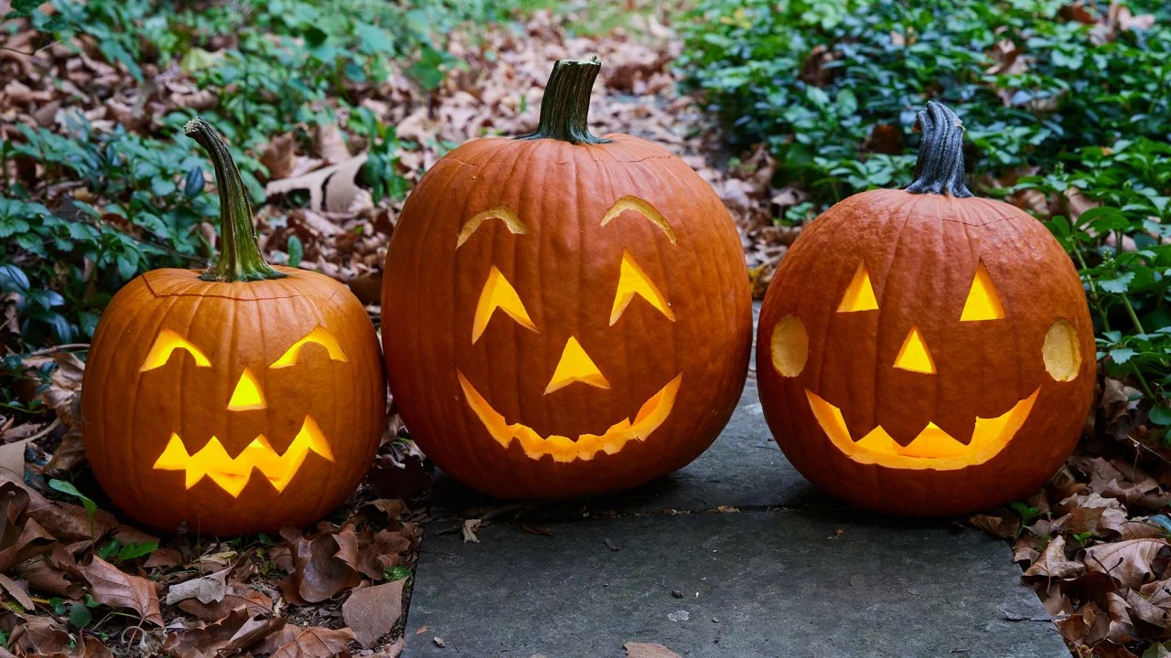 How to Carve a Pumpkin + A Visual Guide to Pumpkin Carving | HGTV