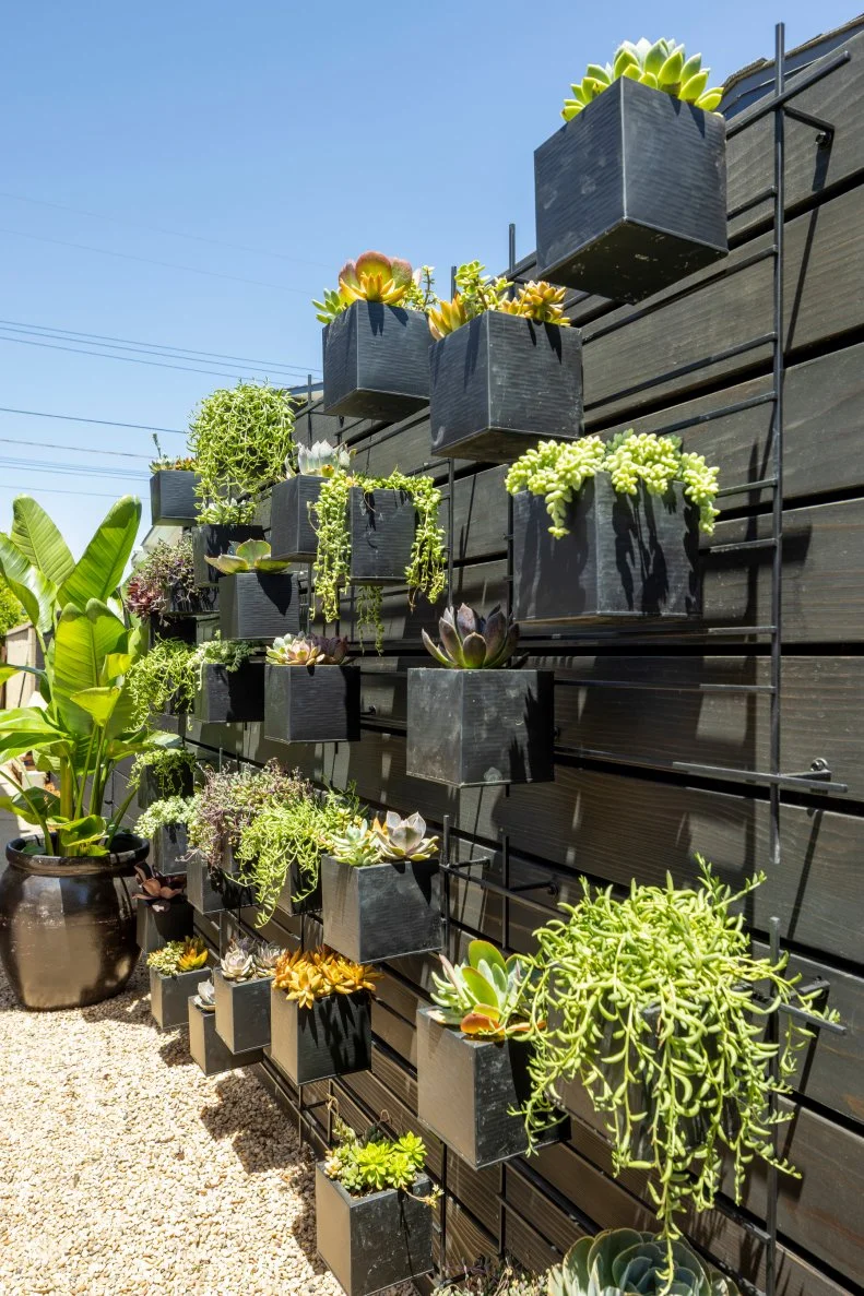 With each succulent in its own container, this succulent wall is easy to maintain. Any plant that doesn't make it can be easily swapped out.
