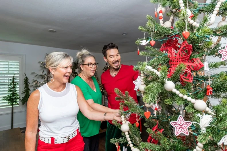 David Bromstad Decorates for the Holidays in #39 My Lottery Dream Home