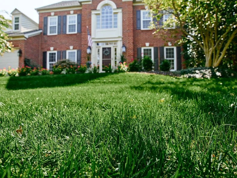 A brick house and lawn with plants and trees