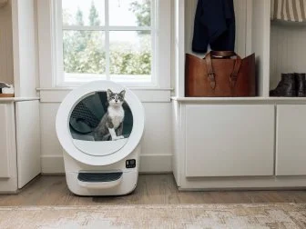 Mudroom With Automated Litter Box