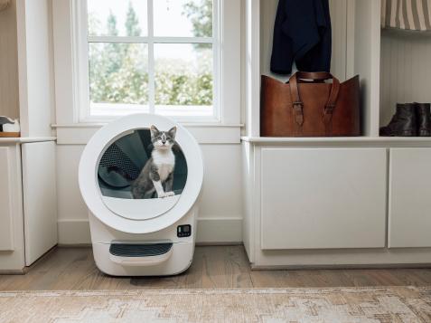 This Litter Box Changed My Cleaning Routine, and I’m Never Going Back
