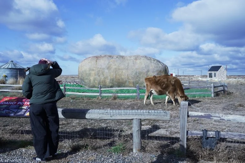D'Arcy Carden portrait standing in front of the Big Idaho Potato Hotel and Dolly the cow, as seen on WVR S1