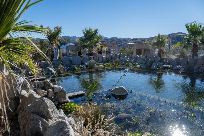 swimming pool at Kaleidoscope Desert in the Mojave Desert