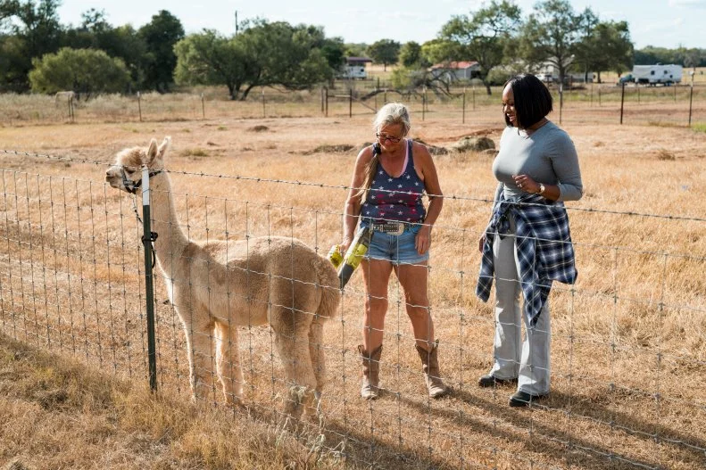 Susan showing Noel Collier a llama on the llama ranch, as seen on Extreme Buyers Club, Season 1.