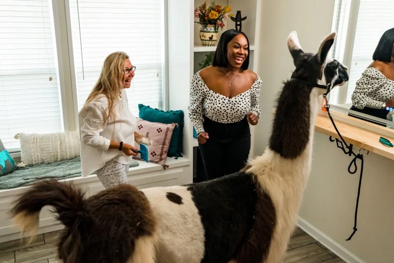 Susan and Noel Collier grooming llama in new llama room, as seen on Extreme Buyers Club, Season 1.