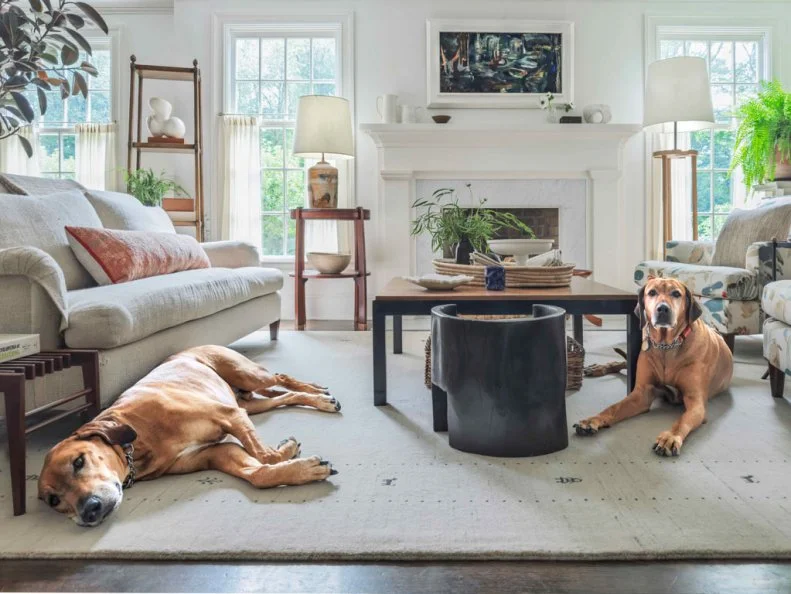 White Living Room With Two Dogs