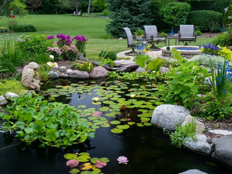 A backyard garden pond with water lilies and hyacinths