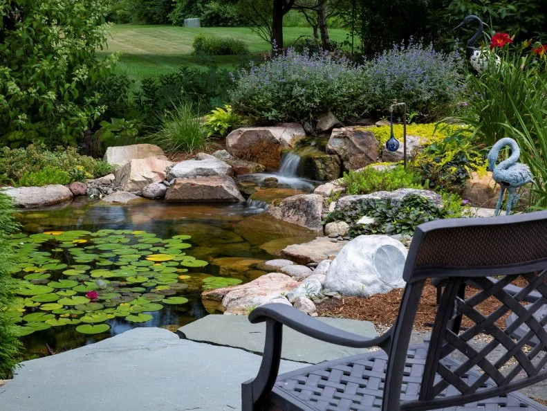 A garden pond surrounded by rocks and filled with waterlilies. 