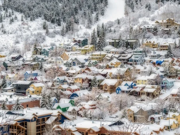 Wintry Park City