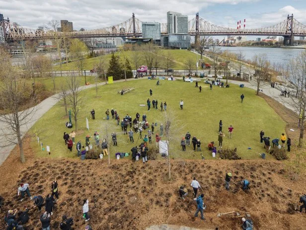 An aerial view of the SUGi Healing Forest in Manhattan