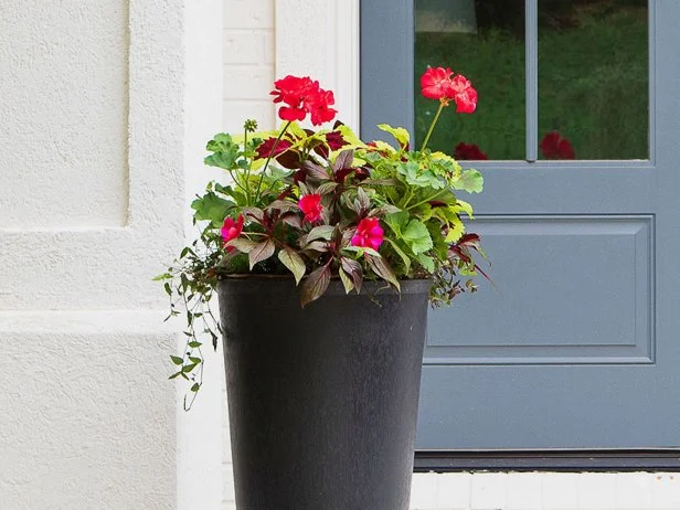 Black entry planter filled with red geraniums and foliage