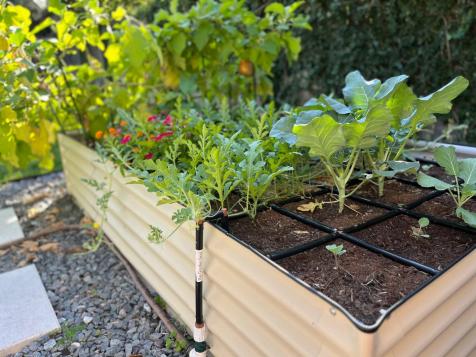 Grow More, Water Less: Why I Love the Garden in Minutes® System