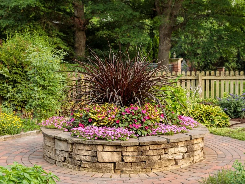 Don't overlook ornamental grasses when you're planting bold foliage. Graceful Grasses Vertigo, commonly called purple fountain grass, has spiky, dark purple foliage, and its size makes a dramatic impact in gardens or large containers. Later in the growing season, the wide blades of grass become dark burgundy-black. This tender perennial needs medium to consistently moist soil in full sun; it's often treated as an annual in USDA Garden Zones 7 and below.

Brighten this dark beauty with masses of SunPatiens Compact Neon Pink or Sunpatiens Compact Tropical Rose, which has green, white and yellow variegated foliage; both thrive in average soil with part sun to sun. They'll bloom from spring until frost and need average amounts of water; otherwise, they're almost carefree. Supertunia Mini Vista Hot Pink petunias have the same needs.
Graceful Grasses Vertigo (Pennisetum purpureum) - 4 to 8 feet tall, Zones 8 to 11
SunPatiens Compact Neon Pink and SunPatiens Compact Tropical Rose (both Impatiens) - 16 to 30 inches tall, Zones 10 to 11
Supertunia Mini Vista Hot Pink (Petunia) - 6 to 12 inches; Zones 10 to 11