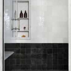 Primary Shower