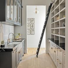 Black and White Contemporary Pantry With Ladder