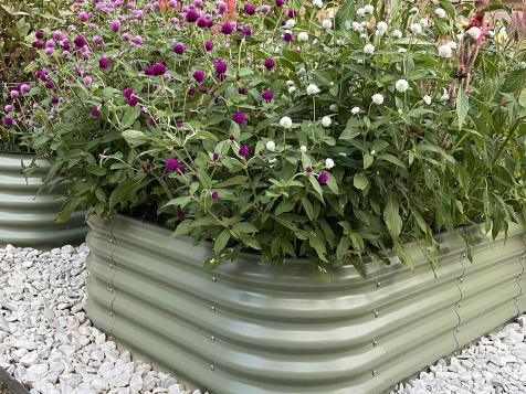 How My Vego Garden Raised Beds Have Held Up After Two Years of Weather and Wear