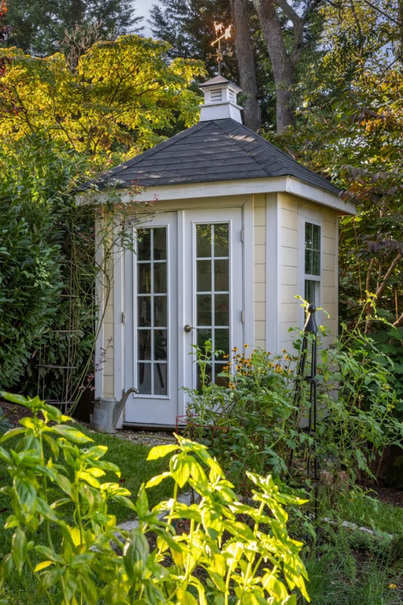 A small yellow garden shed with a hip roof, cupola, and weather vane, flanked by trees and surrounded by plants.