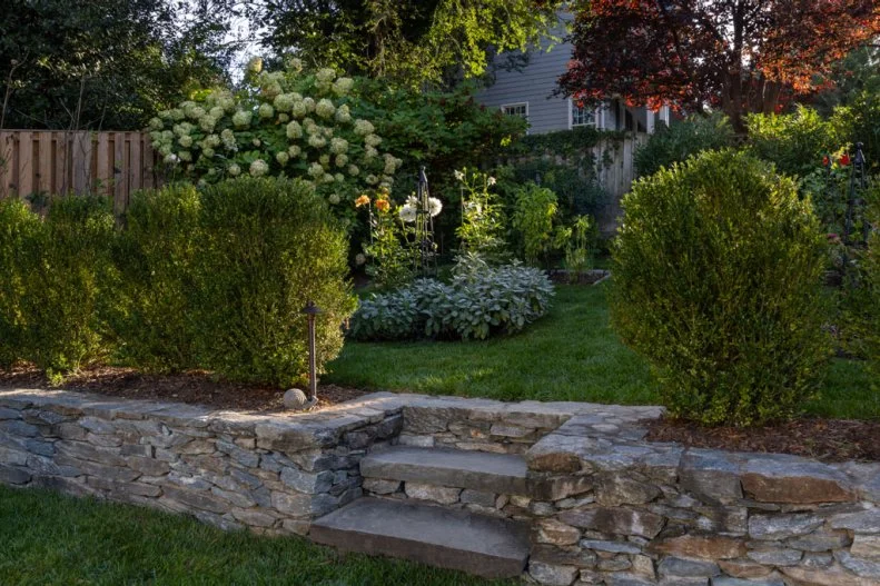 Stone steps set into a low stone wall, flanked by rounded boxwood shrubs, leading up to a garden bed with hydrangeas and dahlias.