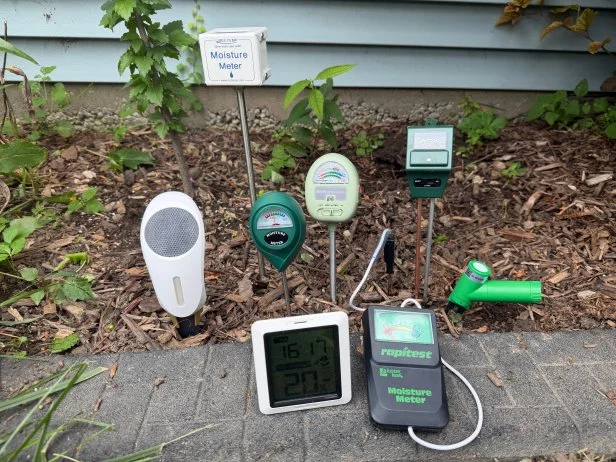 7 Best Soil Moisture Meters of 2026, Tested and Reviewed